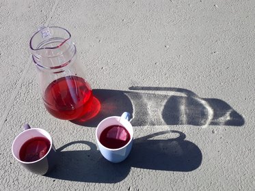 Glaskanne und zwei Tassen mit rotem Tee